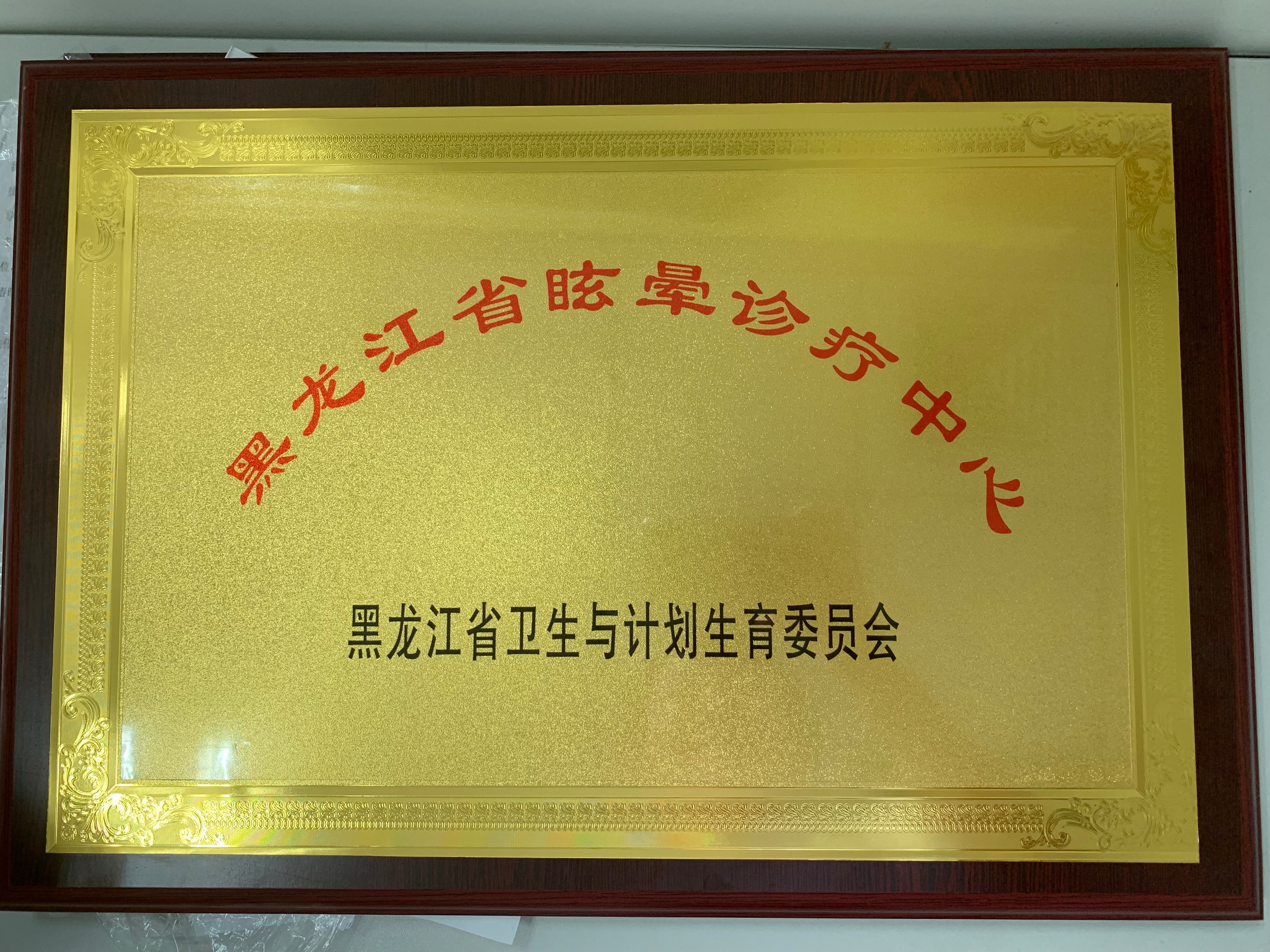 眩晕精准诊疗,眩晕专家