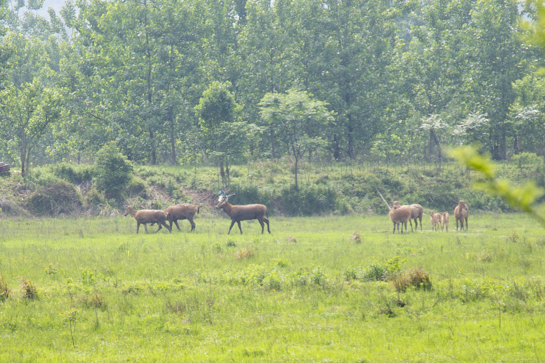 长沙洋沙湖旅游度假区,长沙洋沙湖