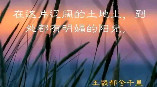 重庆市南岸区，大江南岸，悠然见南山