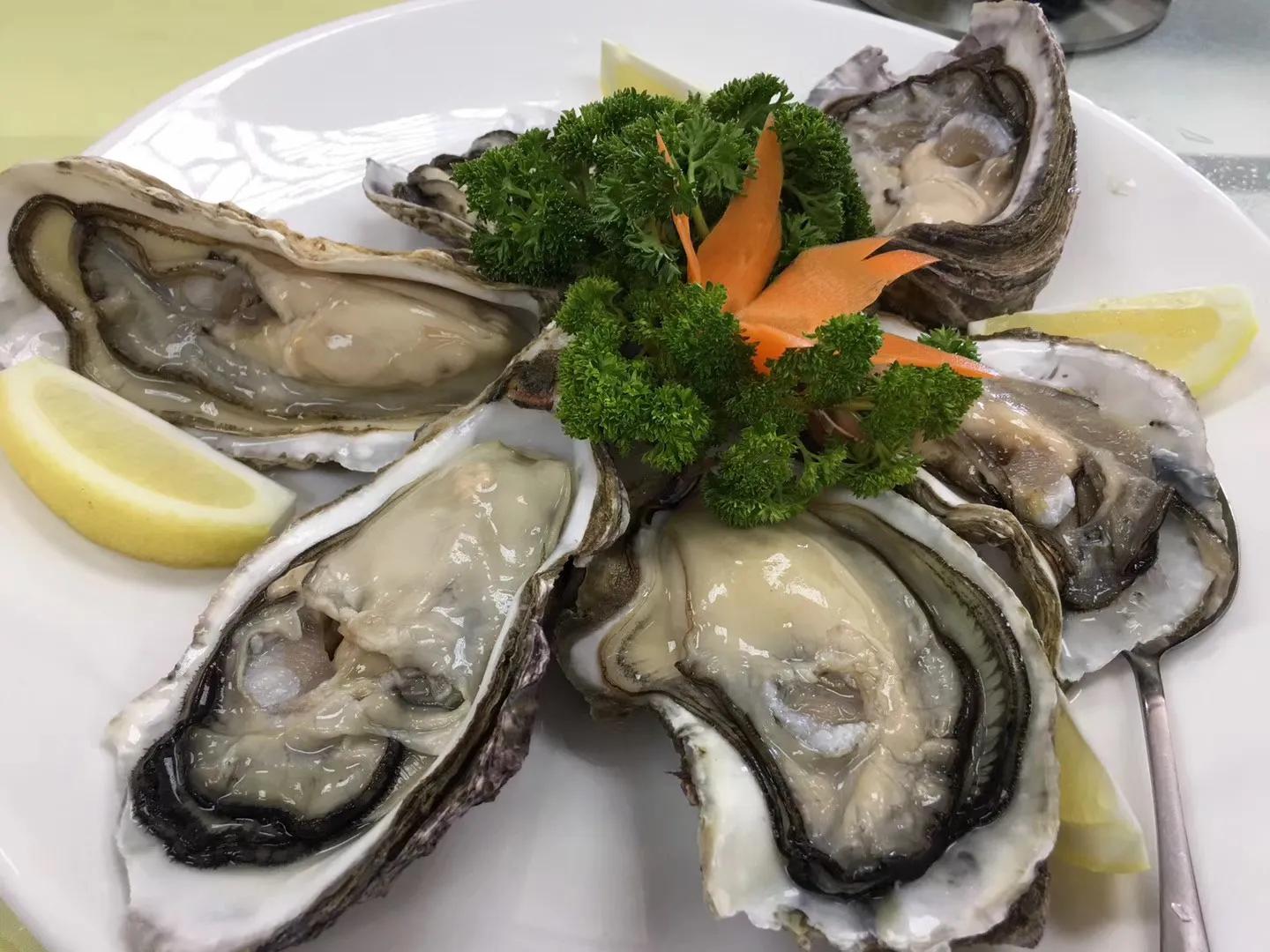 记忆中的旅行之新西兰（北岛）