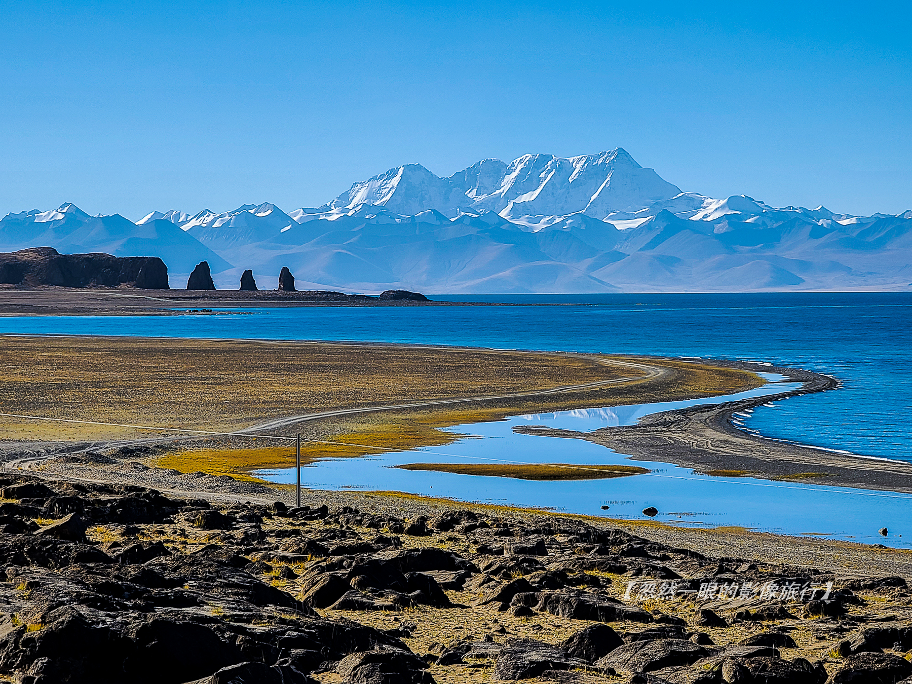 阿里无人区野狼出没,阿里无人区狐狸