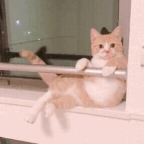 你和富豪的差距只差一个习惯,你和富人的差距只有一点