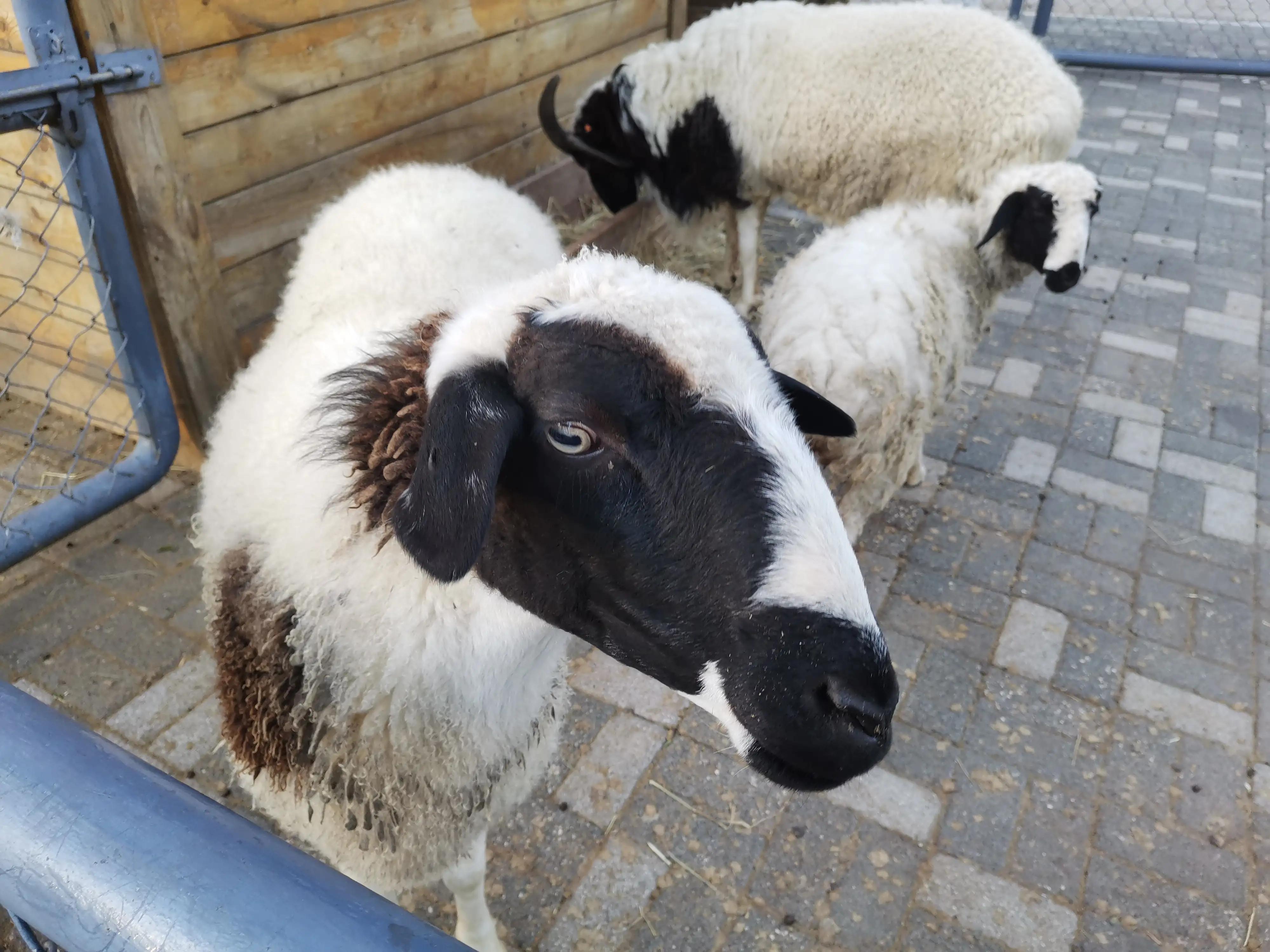 沈阳长白岛森林公园旅游攻略,沈阳长白岛森林公园冬天瀑布