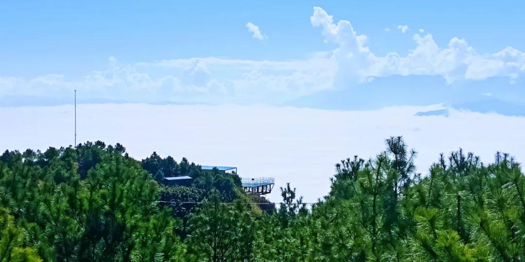 大山包风景区最新视频,太平国家森林公园有什么玩的