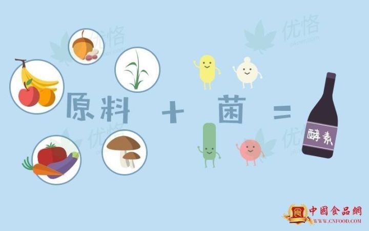 果蔬酵素能减肥真的假的,酵素增加代谢真的吗