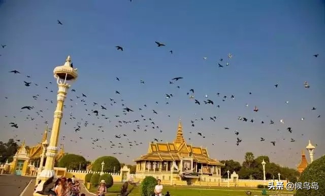 柬埔寨能做什么生意赚大钱,柬埔寨投资土地有前景吗