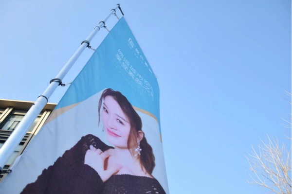 城市素颜无缝墙布十大品牌,城市墙布品牌