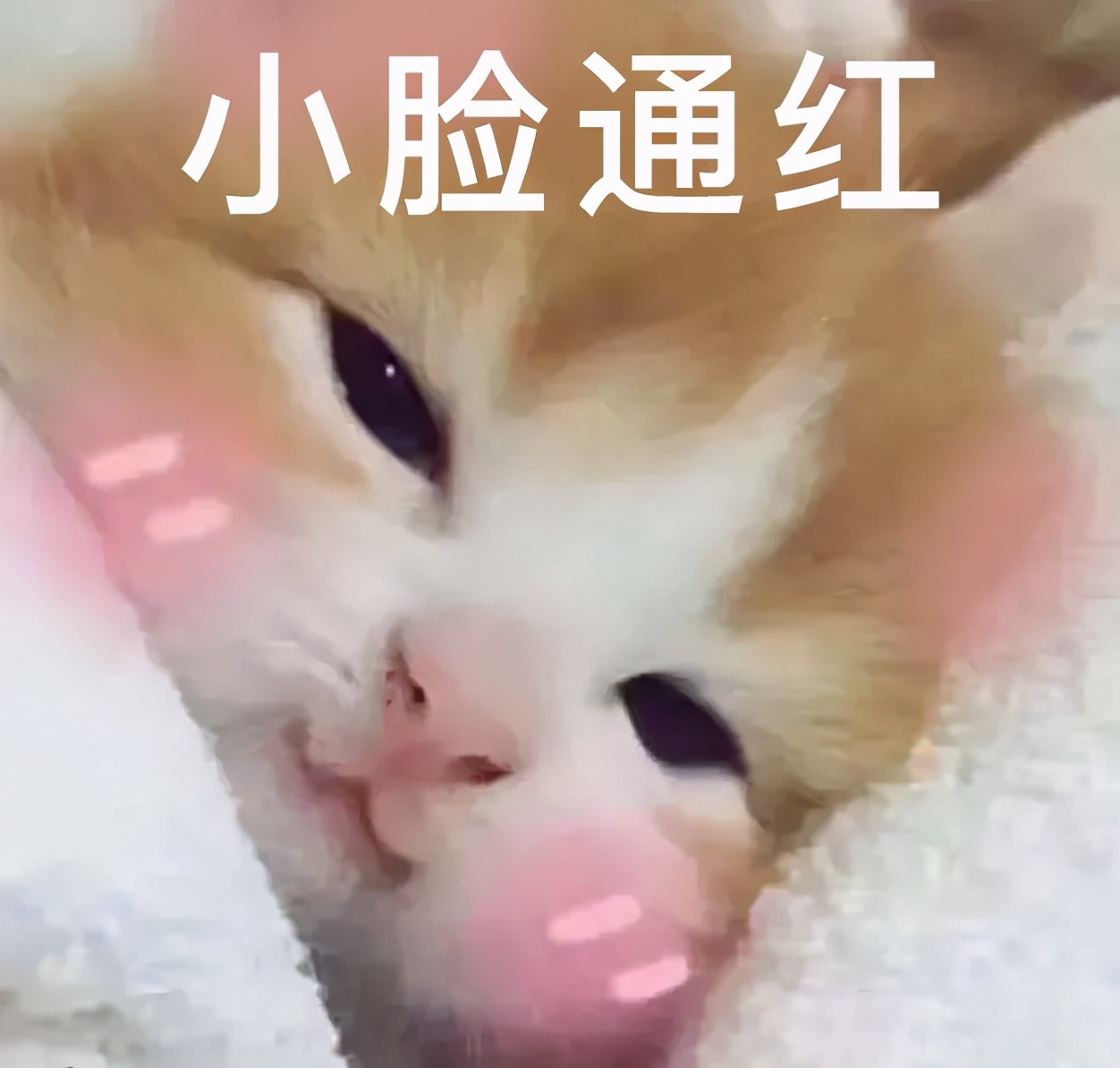 耳朵敏感整个人酥掉,人的耳朵有多脆弱