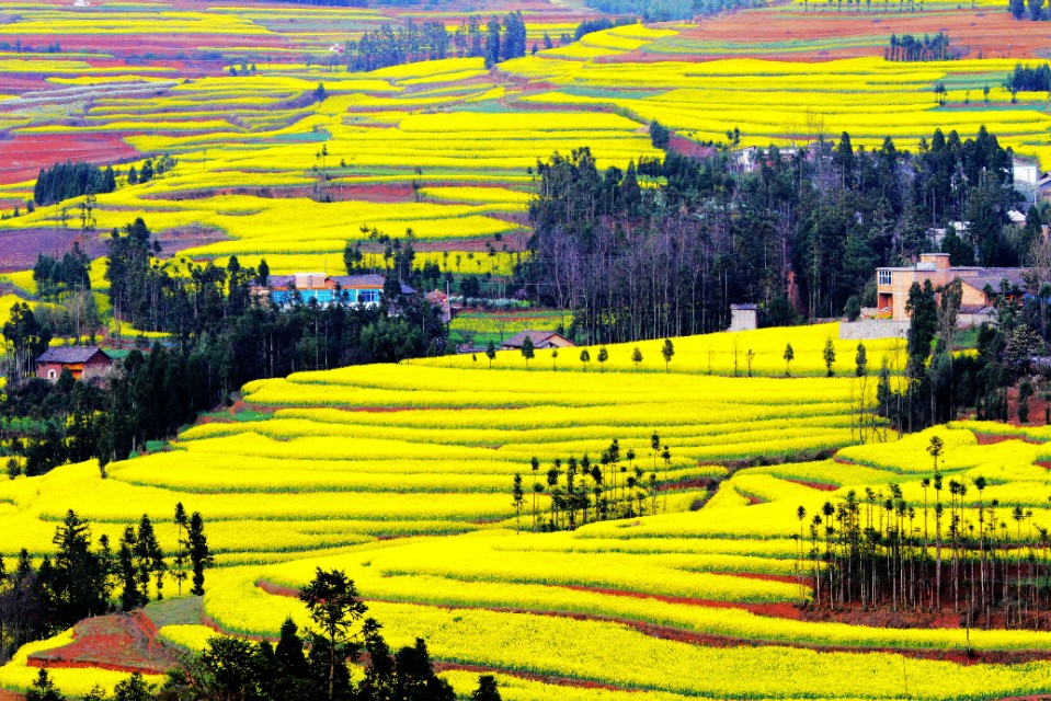 千变万化的悟空（杂诗）