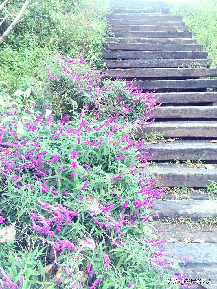 云南澄江兵工厂,云南兵工厂旧址