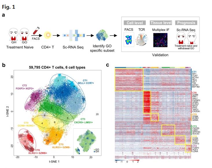 国际首次!陕西教授团队在眼病治疗中又获重大突破,引起国际关注!