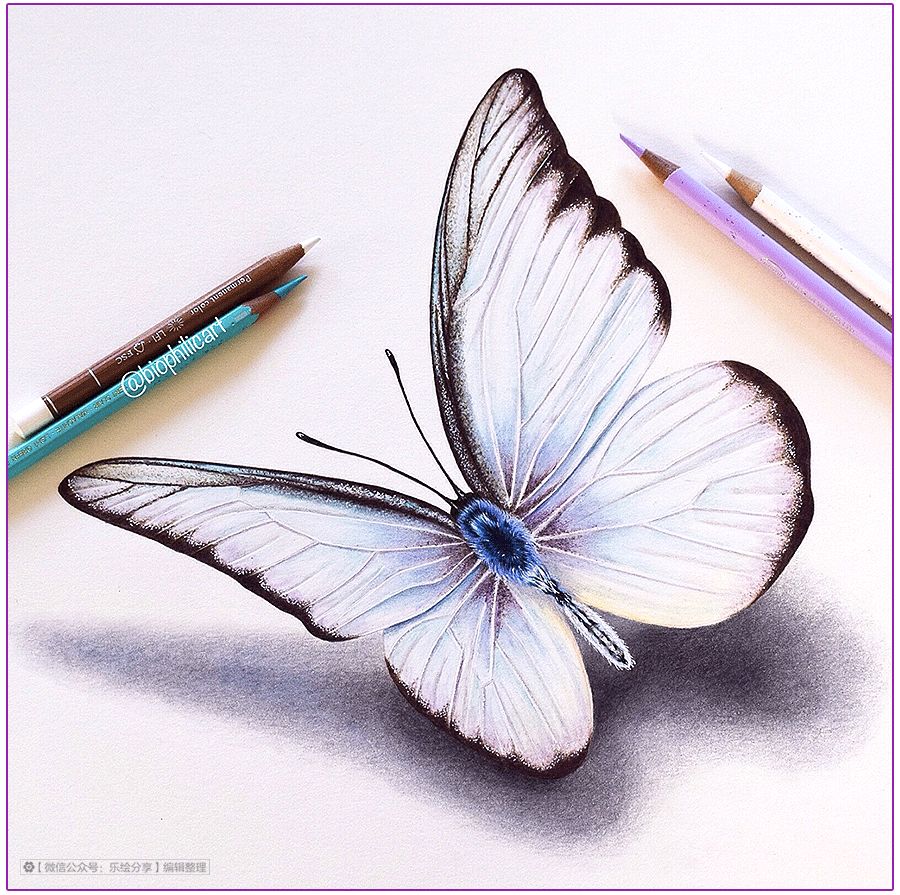 圆形牛皮纸彩铅画花鸟,彩铅画绿藤花鸟图片大全