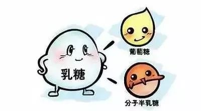 如何辨别孩子是乳糖不耐还是腹泻,婴儿乳糖不耐受化验什么