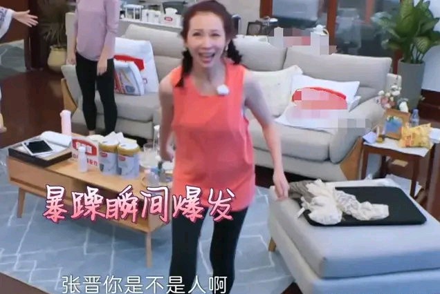 张晋袁弘妻子的浪漫旅行4,袁弘张晋夫妻