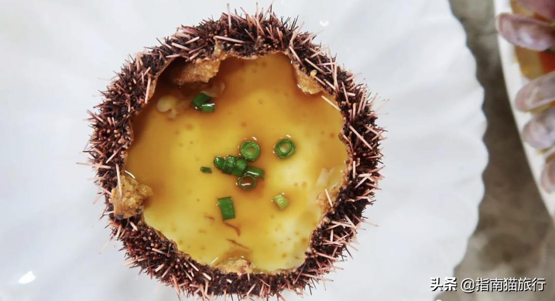 夏天去哪个海边吃海鲜最合适,适合吃货去的海边城市