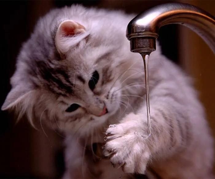 免冲水的洗手液,洗手液超实用