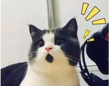 美赞臣召回14.5万罐奶粉,最近半年被召回的奶粉