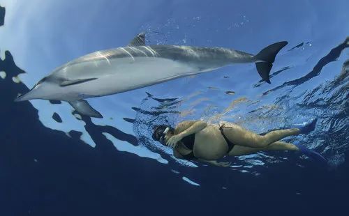 唐艺昕怀孕了还游泳吗,唐艺昕谈孕妇游泳