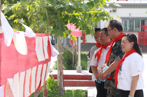 小海豚公益活动策划方案,小海豚计划直播