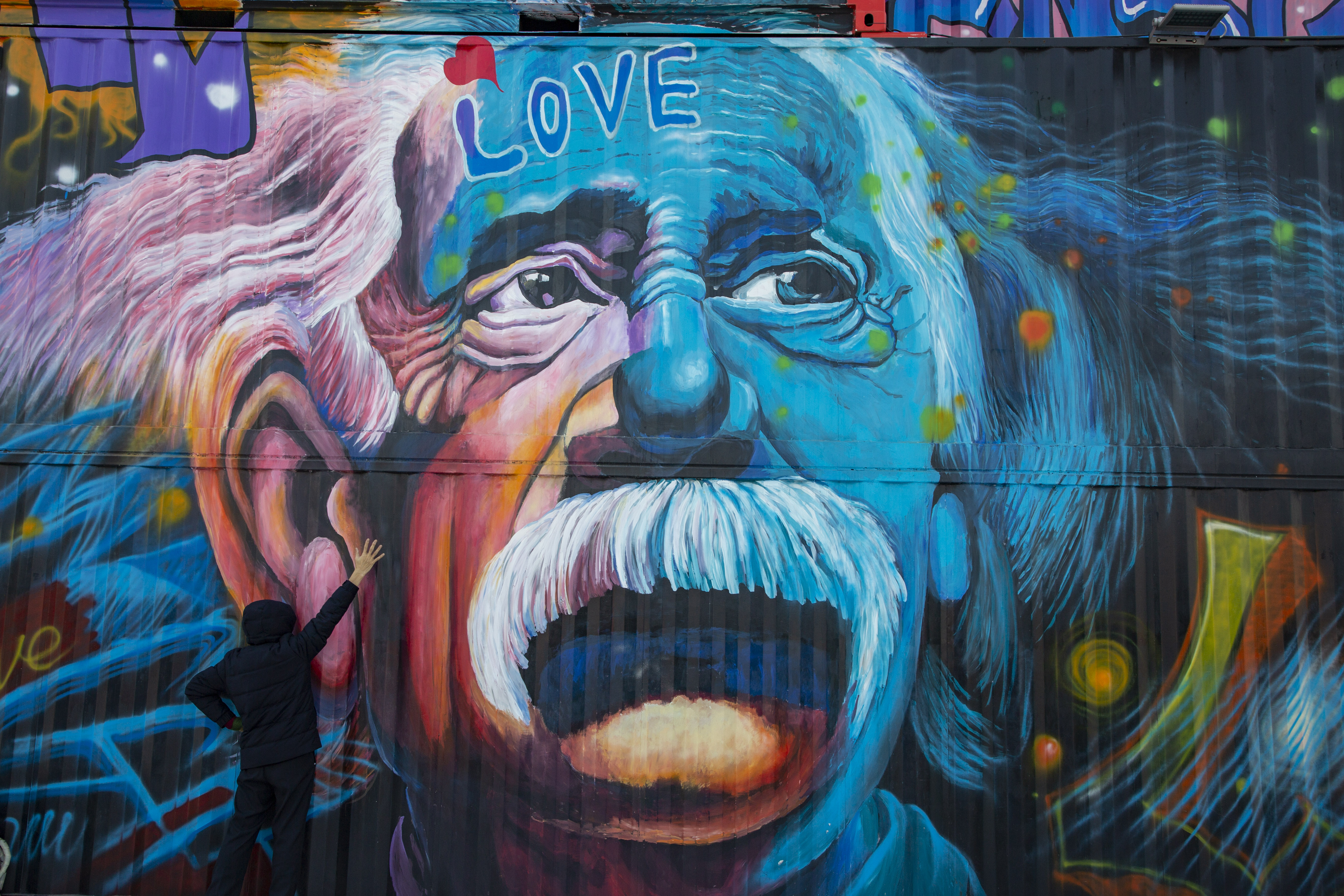 沈阳网红打卡地小火车,沈阳集装箱网红小镇花海