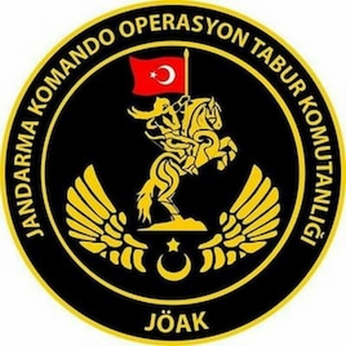 特种作战力量排行,世界战斗力最强的十大特种部队