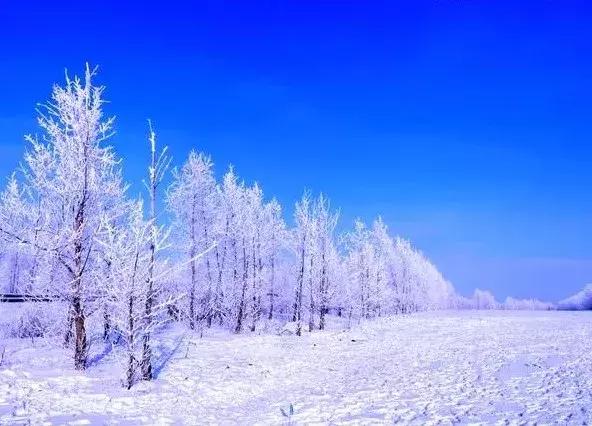 雾凇之美宛若仙境,连云港花果山雾凇美得像仙境