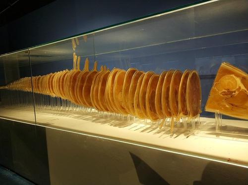 给孩子的自然科普书,3-6岁科技大探秘五大科普知识绘本