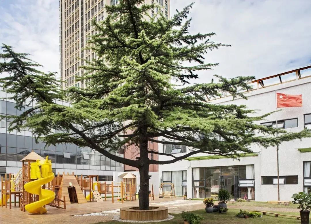 托育天下|张晓光幼儿园设计事务所作品合集全球首次公开发布