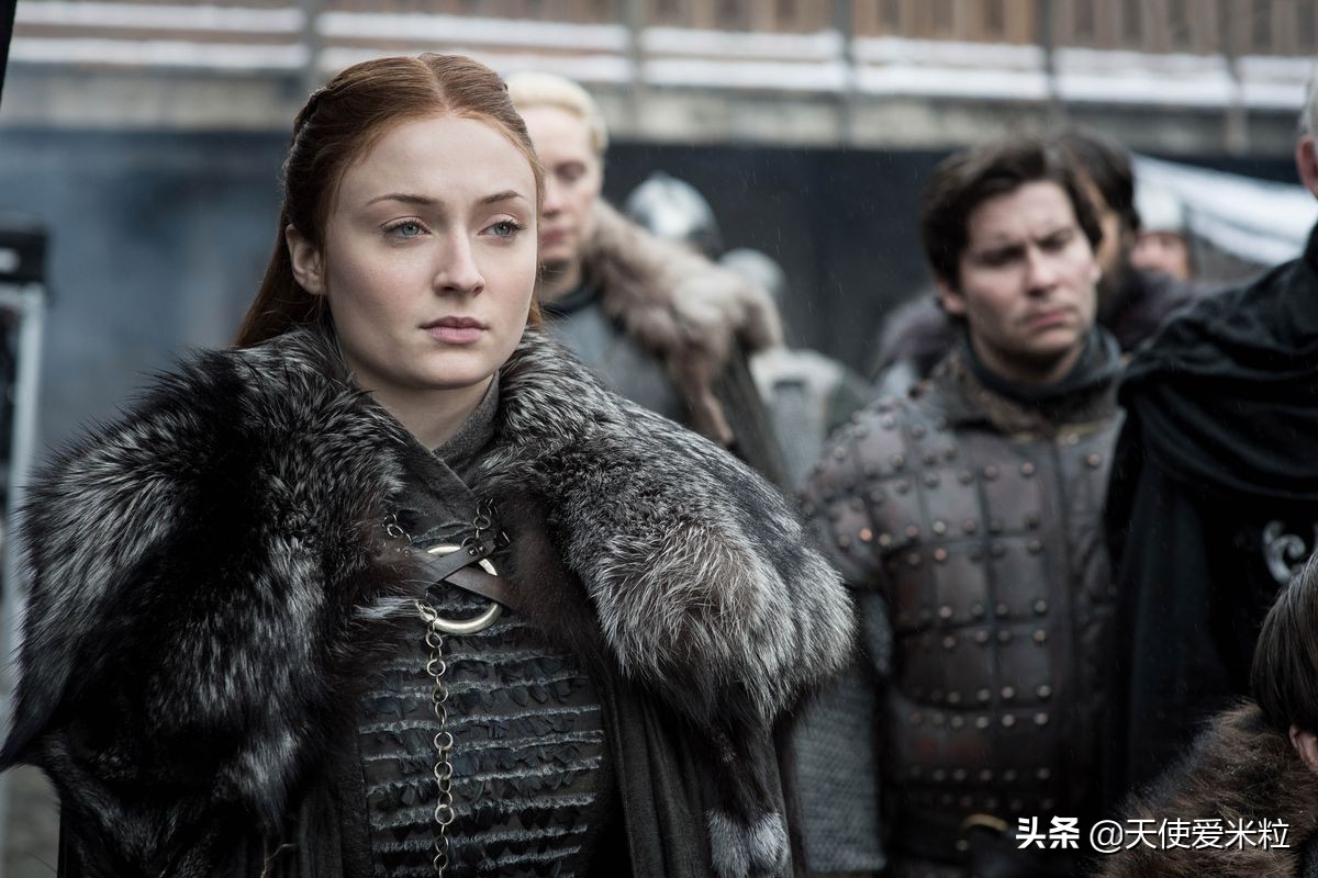 权力的游戏布兰登多余角色,权力的游戏布兰妮身份