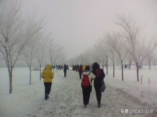 曾经的我们经典语录校园,我的大学之旅经典语录