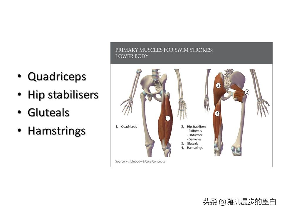 蛙泳练习腿部动作时老是下沉,蛙泳划手和腿部动作教学视频