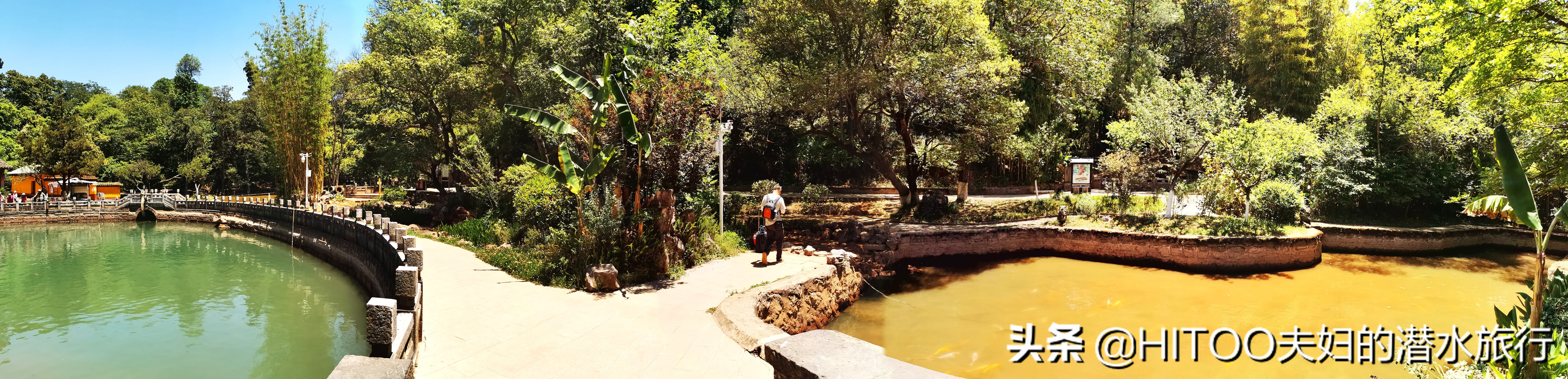 先有黑水祠，再有昆明城，来黑龙潭看奇景异木|自驾游记4
