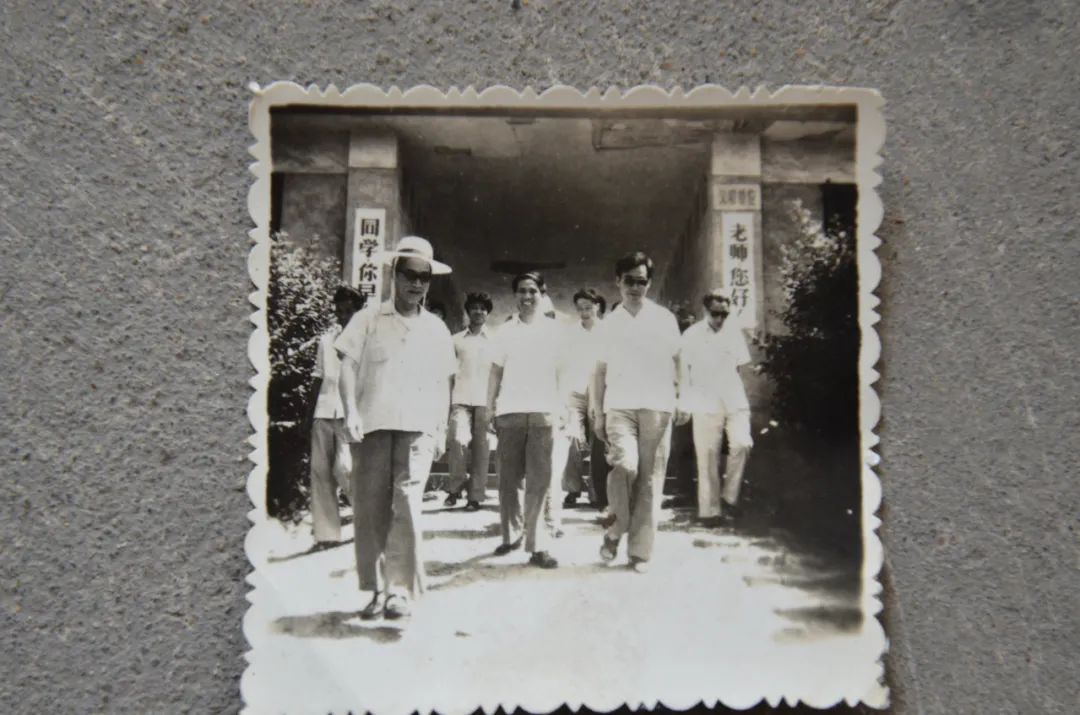 临安最好的小学是哪个,临安小学入学要求