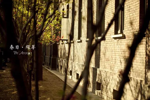 天津市耀华中学冯耀忠,天津市耀华中学招聘