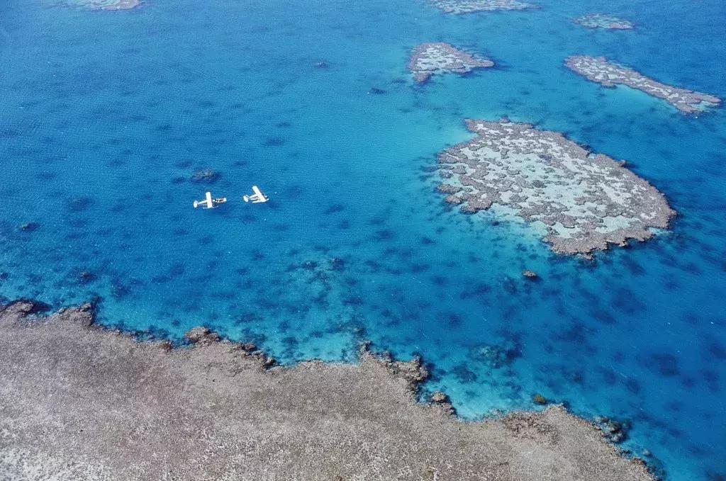 最新澳洲签证时间,2023澳洲签证申请多久出结果