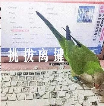 成语表情包照片,成语表情包动态图片