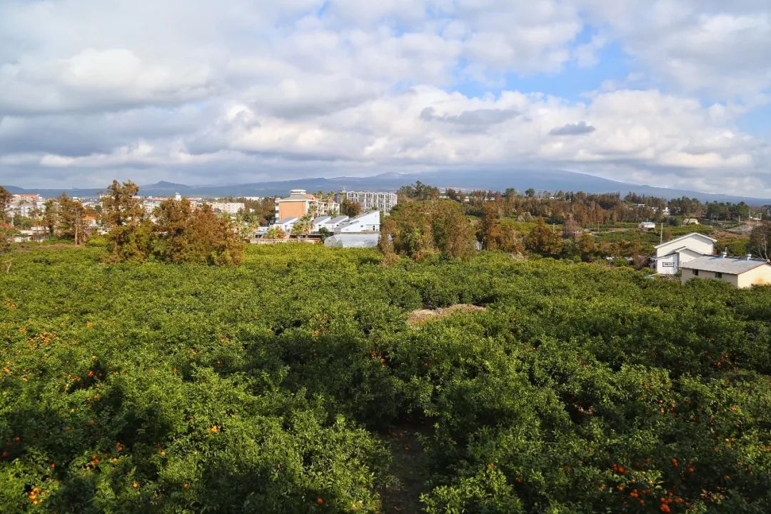 济州岛7天攻略,冬日济州岛旅游攻略4日游