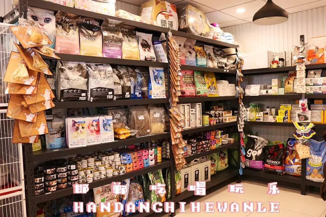 软萌暴击！邯郸这家高颜值猫咖上线，“吸猫”终于提上日程！