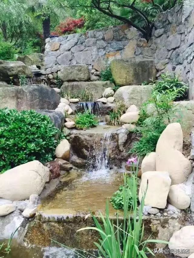 为一姑娘,10年他把30亩荒地打造成梦想家园,让人懂得真爱的意义