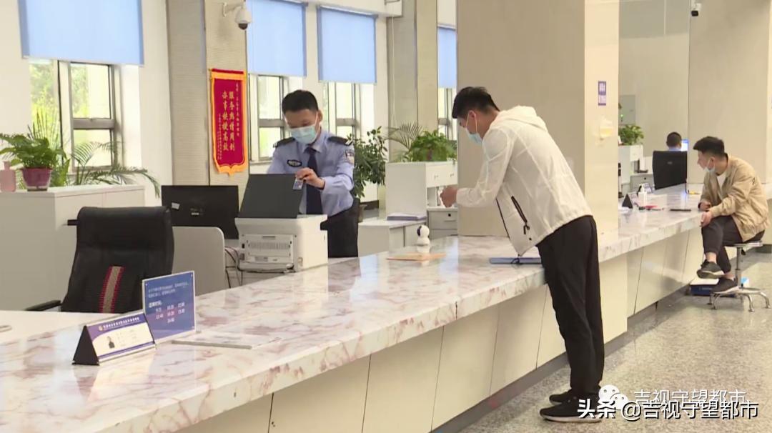 如何免费查询交强险信息,哪个平台可以免费查询交强险