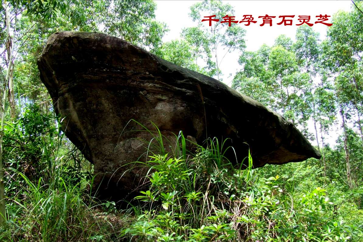 花甲山玩水,花甲山一日游