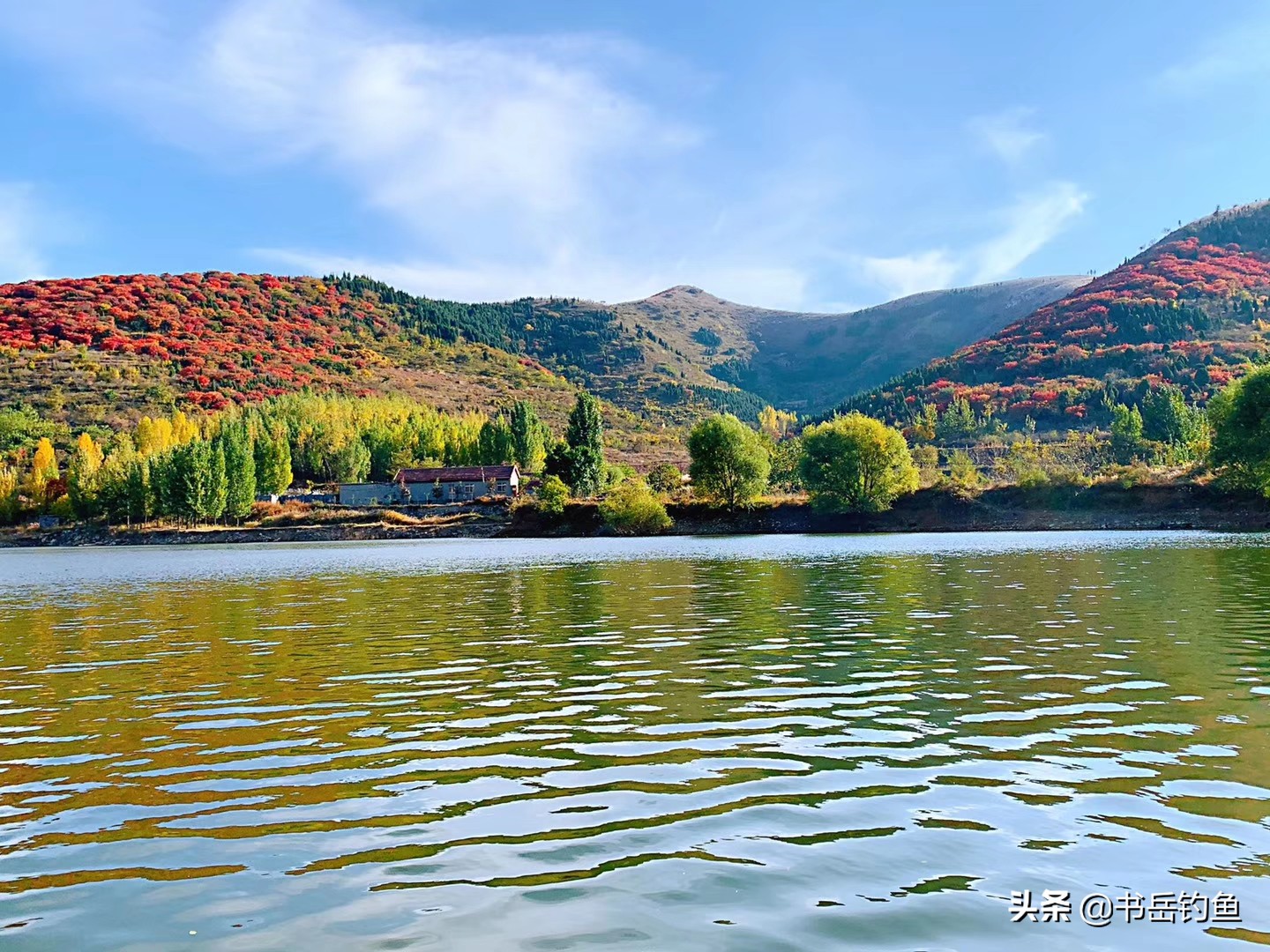 汉鼎化氏一味官方旗舰店,化氏一味新款