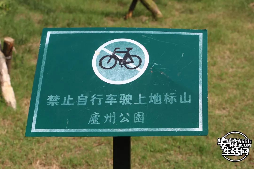 庐阳老城内藏着一处最大的综合性森林公园，人少景美，关键还免费