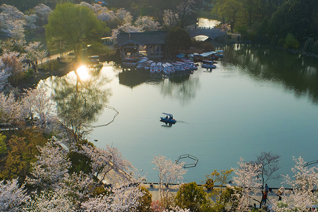 上海五一期间旅游景点推荐,上海五一旅游攻略景点推荐
