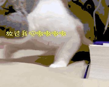 宅家无聊自娱自乐想跳就跳就好,宅家无聊自娱自乐开心一刻