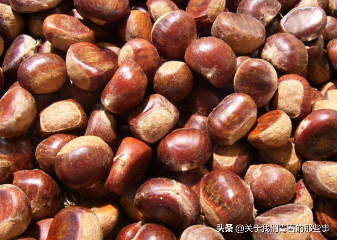 剥板栗壳，直接水煮是大错！多做1步，香甜软糯，轻松去壳不粘皮