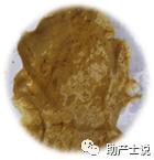 怎么判断婴儿大便是否正常,观察宝宝大便的知识