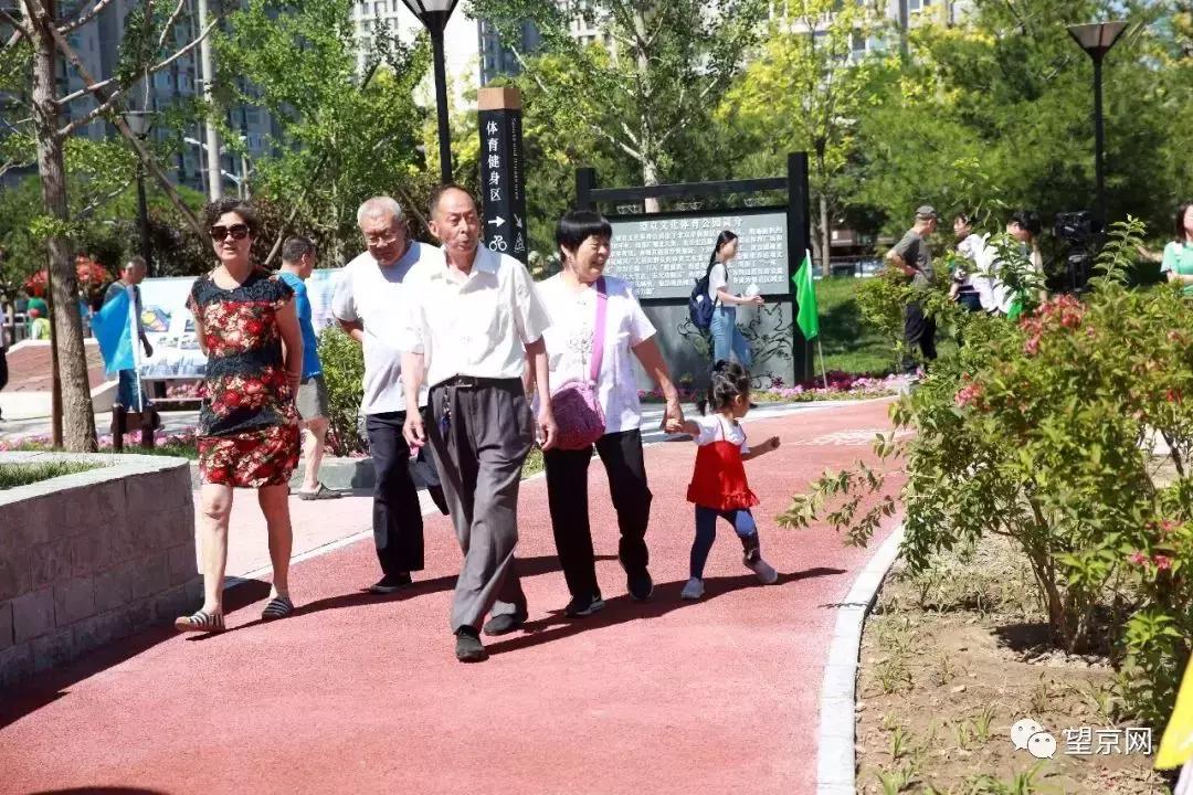 北京望京体育公园在哪儿,望京体育公园