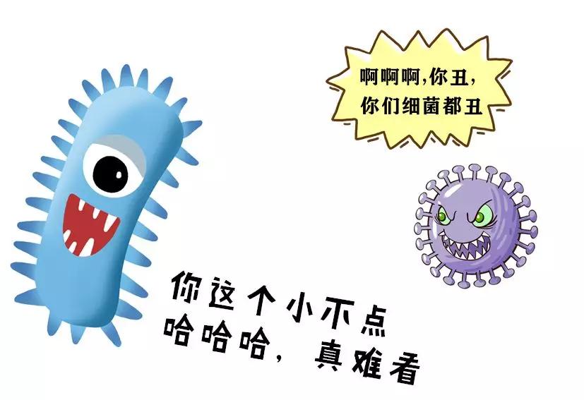 吃了抗生素后发现怀孕了能要吗,吃了抗生素后怀孕