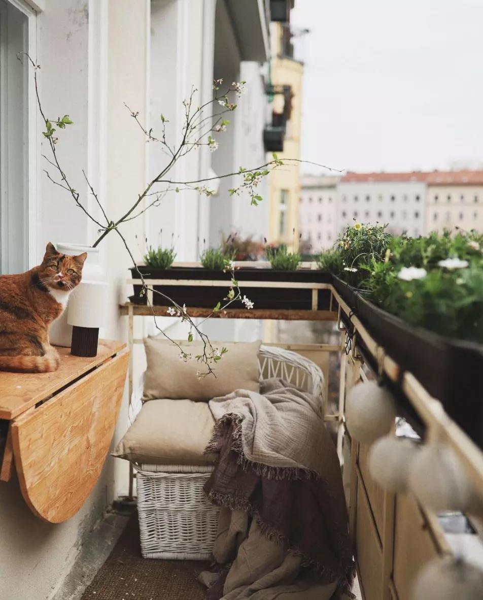 再来一杯冰拿铁,再来一杯冰咖啡